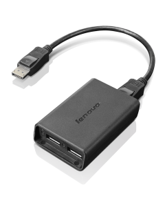 Adaptateur DisplayPort / Dual DisplayPort